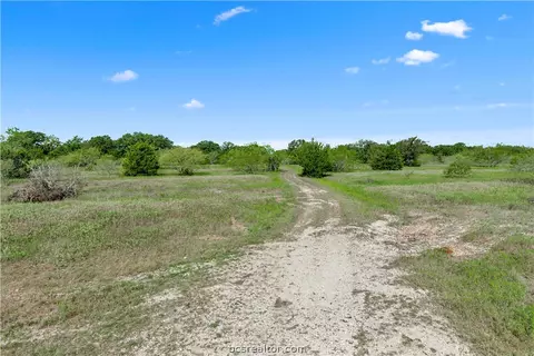 1402 Mathis Branch Ct, Bryan, TX 77808 photo 9
