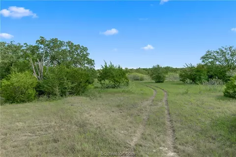 1402 Mathis Branch Ct, Bryan, TX 77808 photo 4