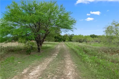 1402 Mathis Branch Ct, Bryan, TX 77808 photo 5