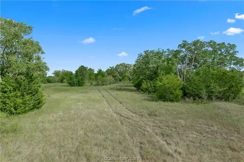 1402 Mathis Branch Ct, Bryan, TX 77808 photo 3