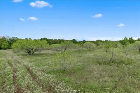 1402 Mathis Branch Ct, Bryan, TX 77808 photo 6