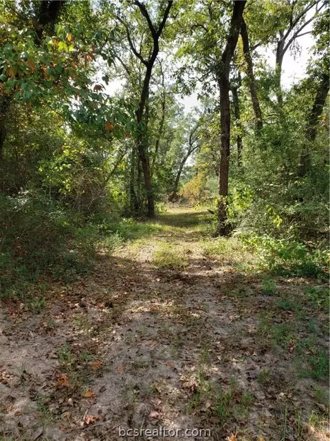 2114 County Road 301, Buffalo, TX 75831 photo 13