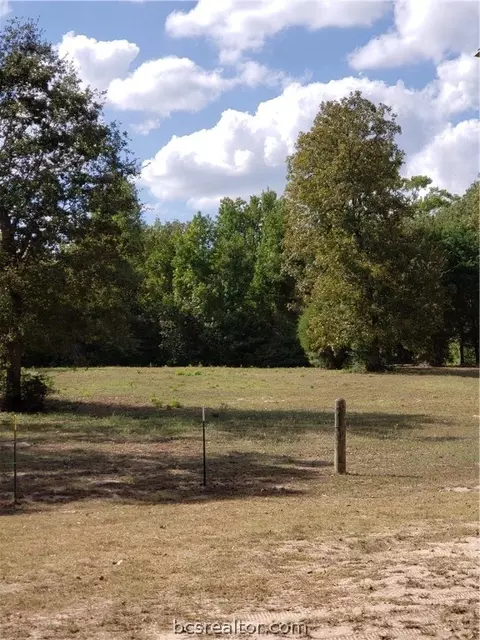 2114 County Road 301, Buffalo, TX 75831 photo 11