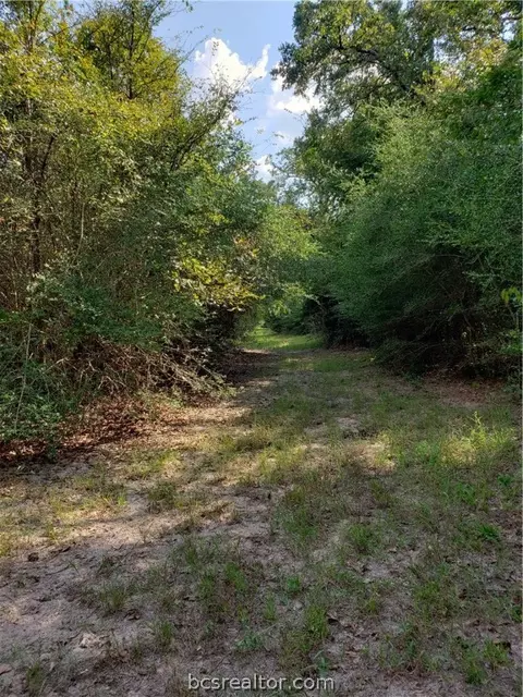 2114 County Road 301, Buffalo, TX 75831 photo 12