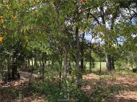 4205 Serrano Ct, Bryan, TX 77802 photo 6