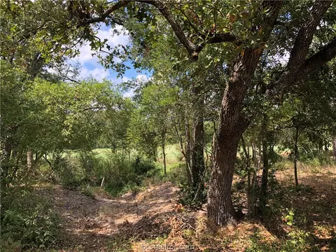 4205 Serrano Ct, Bryan, TX 77802 photo 5