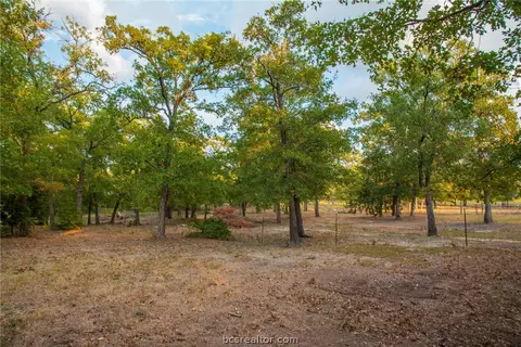 301 Oleander Dr, Somerville, TX 77879 photo 13