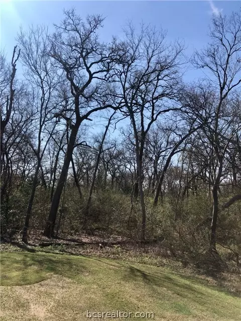 3217 Elm Creek Ct, Bryan, TX 77807 photo 10