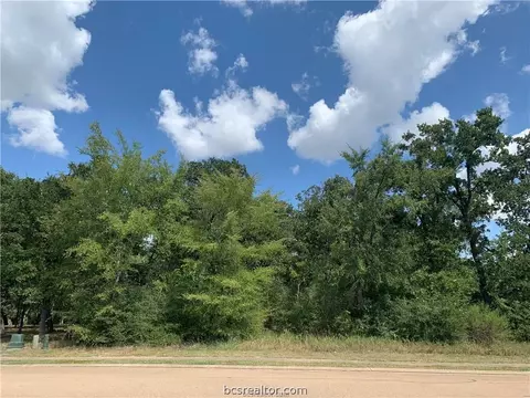 3217 Elm Creek Ct, Bryan, TX 77807 photo 4