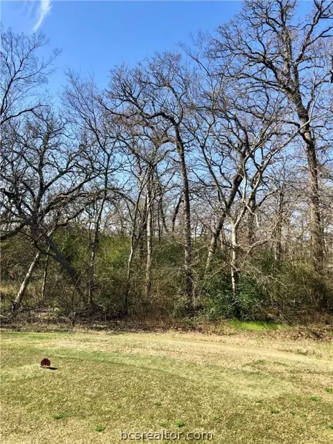 3217 Elm Creek Ct, Bryan, TX 77807 photo 6