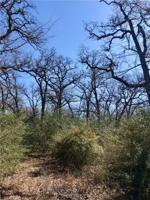 3217 Elm Creek Ct, Bryan, TX 77807 photo 7