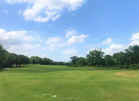 2809 Persimmon Ridge Ct, Bryan, TX 77807 photo 2