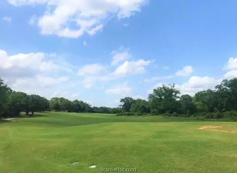 2809 Persimmon Ridge Ct, Bryan, TX 77807 photo 4