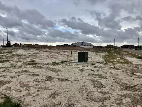 3009 Alpha Ct, Bryan, TX 77808 photo 5