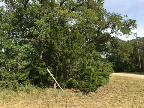 400 Bengals Bnd, Somerville, TX 77879 photo 2