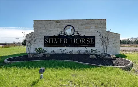 4132 Golden Eagle Dr, Bryan, TX 77808 photo 1