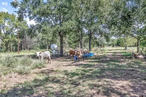 14973 Jack Creek Rd, Bryan, TX 77808 photo 48