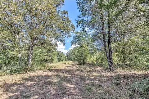 14973 Jack Creek Rd, Bryan, TX 77808 photo 44