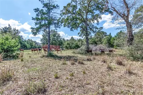14973 Jack Creek Rd, Bryan, TX 77808 photo 26