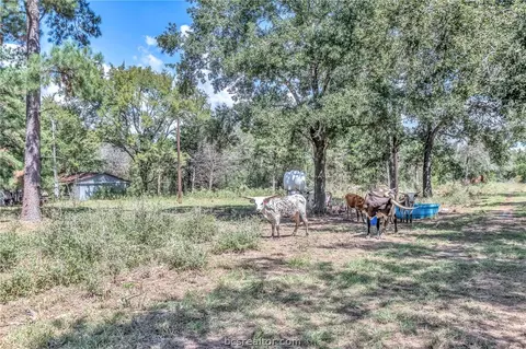 14973 Jack Creek Rd, Bryan, TX 77808 photo 45