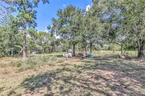 14973 Jack Creek Rd, Bryan, TX 77808 photo 46
