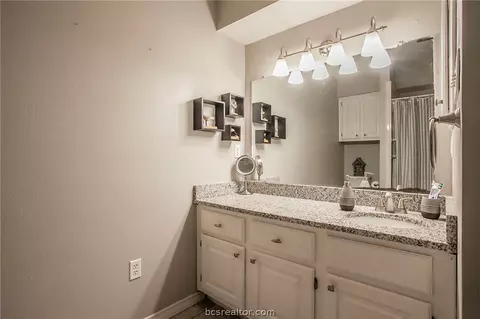2905 Burning Tree Ct, Bryan, TX 77802 photo 14