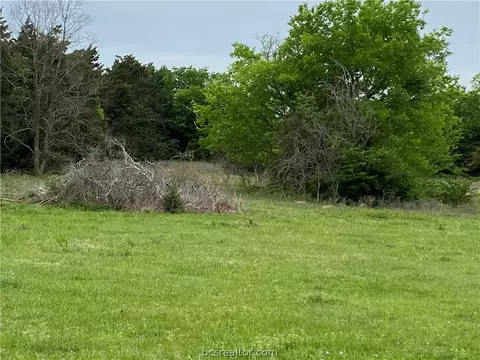 14547 Batson Loop, Normangee, TX 77871 photo 12