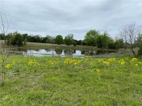 14547 Batson Loop, Normangee, TX 77871 photo 4