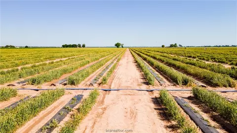 12052 Sandy Point Rd, Bryan, TX 77807 photo 6