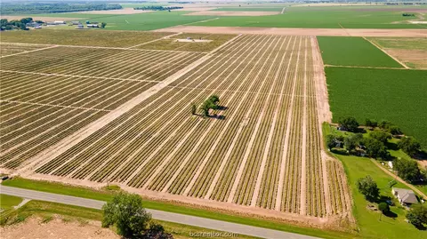 12052 Sandy Point Rd, Bryan, TX 77807 photo 1