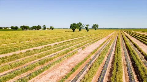 12052 Sandy Point Rd, Bryan, TX 77807 photo 12