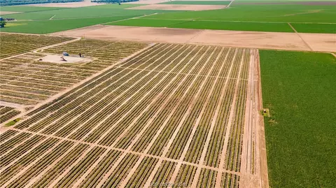 12052 Sandy Point Rd, Bryan, TX 77807 photo 7