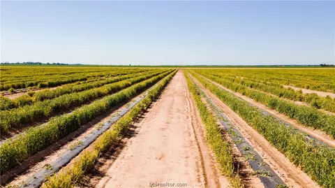 12052 Sandy Point Rd, Bryan, TX 77807 photo 3