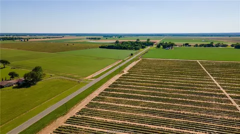 12052 Sandy Point Rd, Bryan, TX 77807 photo 16