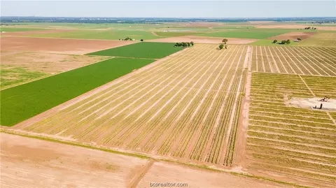 12052 Sandy Point Rd, Bryan, TX 77807 photo 9