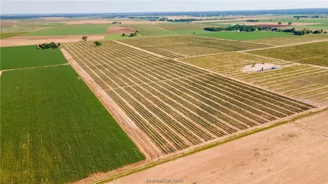12052 Sandy Point Rd, Bryan, TX 77807 photo 8