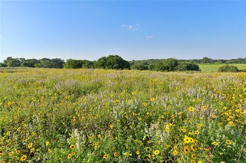 9776 Calhoun Rd, Bryan, TX 77808 photo 32