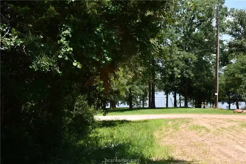 N/a Throughbred, Hilltop Lakes, TX 77871