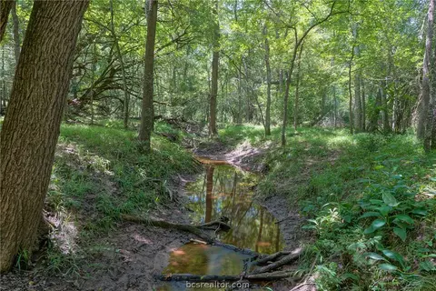 6464 Dick Elliott Rd, Bryan, TX 77808 photo 24