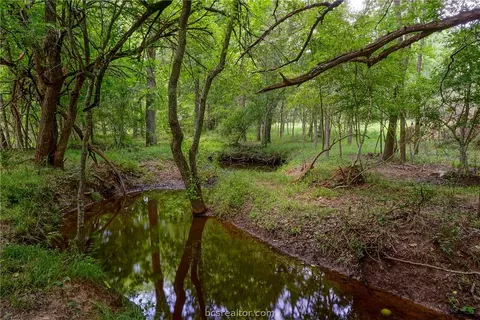 6464 Dick Elliott Rd, Bryan, TX 77808 photo 35