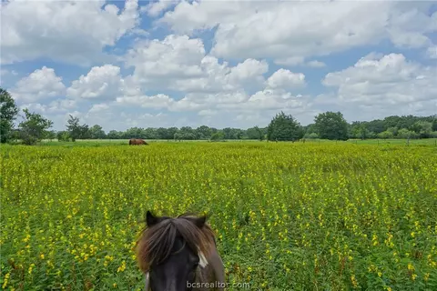 6464 Dick Elliott Rd, Bryan, TX 77808 photo 38