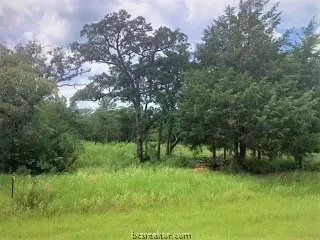 10079 Hampton Ct, Iola, TX 77861 photo 8