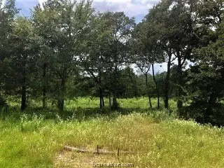 10079 Hampton Ct, Iola, TX 77861 photo 6