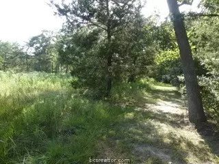 10079 Hampton Ct, Iola, TX 77861 photo 16