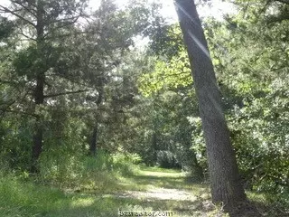 10079 Hampton Ct, Iola, TX 77861 photo 18