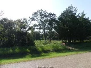 10079 Hampton Ct, Iola, TX 77861 photo 12