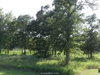 10079 Hampton Ct, Iola, TX 77861 photo 9