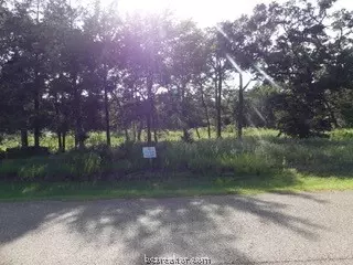 10079 Hampton Ct, Iola, TX 77861 photo 11