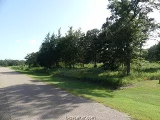 10079 Hampton Ct, Iola, TX 77861 photo 10