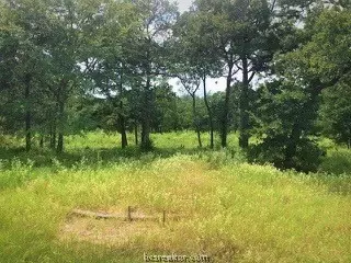 10079 Hampton Ct, Iola, TX 77861 photo 5